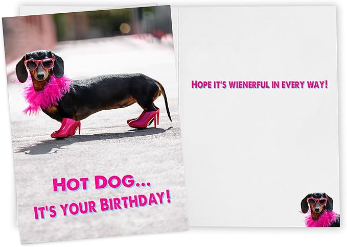 Funny Birthday Card, Funny Birthday Cards for Women, Men, Sister, Brother, kids, Friends, all the wienerful people in your life