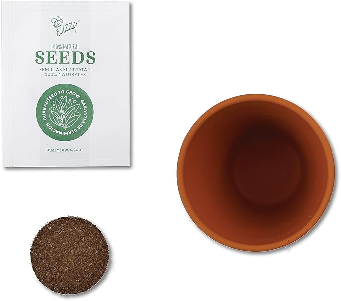 BUZZY Seeds Terracotta Mini Grow Pots 6-Pack – Indoor Gardening Seed Starter Kit with Herbs & Flowers – DIY Grow Your Own Plants Kit for Beginners