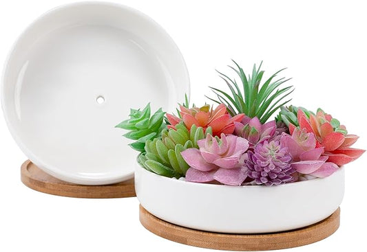 2 PCS Succulent Pot Cactus Containers White Ceramic Planter with Drainage Hole and Removable Tray Small Plant Pots for Home Office Decor Bonsai Container for Indoor Outdoor Plants (Circle)