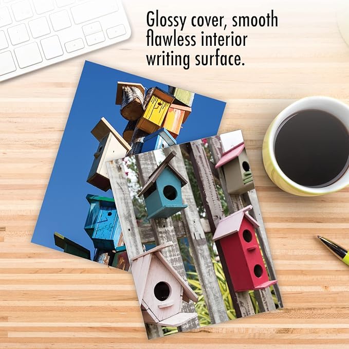 The Best Card Company - 10 Bird Note Cards Blank (4 x 5.12 Inch) - All Occasion Cards with Envelopes, Boxed Set - Birdhouse Beautiful AM6114OCB-B1x10