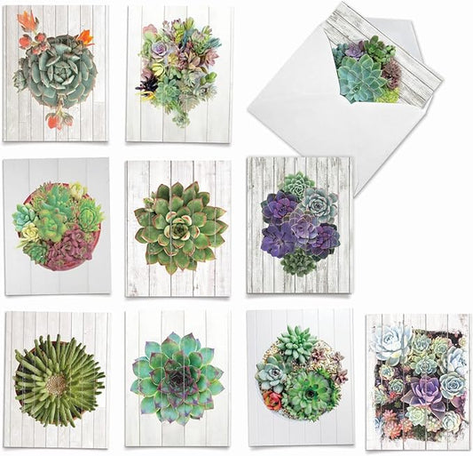 The Best Card Company - 10 Blank Note Cards with Envelopes (4 x 5.12 Inch) - Bulk All Occasion Cards Boxed - Shiplap Succulents AM6438OCB-B1x10