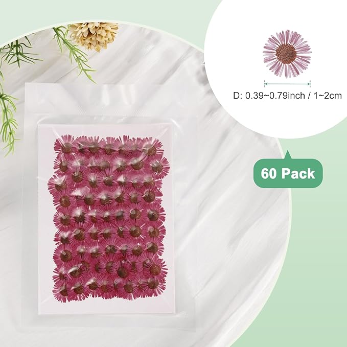 60-Pack Dried Pressed Flowers for Resin, Real Natural Bulk Dry Floral for Crafts/DIY Jewelry/Soap Making/Scrapbooking/Handmade Candle/Epoxy Resin Supplies [Rose Pink]