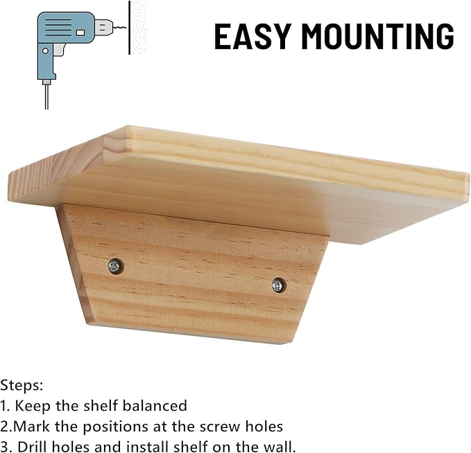 PHOENANCEE Small Floating Shelves,Trapezoid Wall Shelf for Speaker Table Lamp Plants Display,Decorative Wood Ledges Chic for Living Room,Bedroom,Kitchen,Office,Pine,8x6 Inch,2 Pack（Natural Wood）
