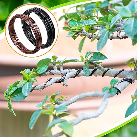 Mudder 5 Roll Aluminum Bonsai Training Wire Tree 160 Feet Total with Bonsai Wire Cutter Anodized Training for Holding Branches Small Trunks (Classic)