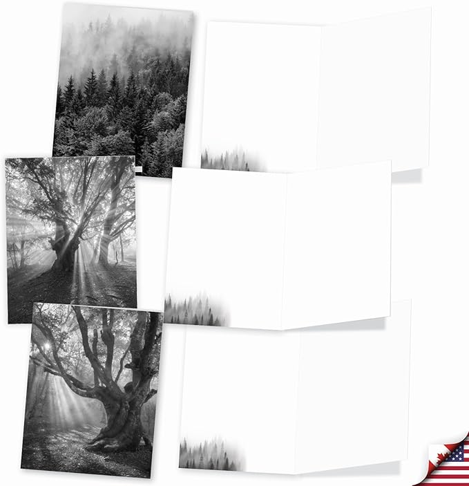 The Best Card Company - 20 All Occasion Blank Greeting Cards (4 x 5.12 Inch) - Monocolor Photos (10 Designs, 2 Each) - Misty Woods AM7167OCB-B2x10