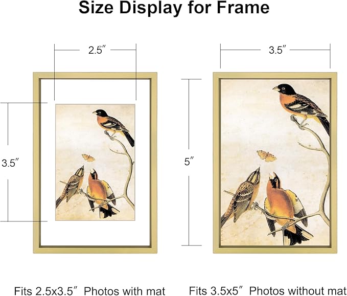 3.5x5 Picture Frame Set of 3, Brass Metal Photo Frames with HD Glass, Fits 2.5x3.5 with Mat or 3.5x5 without Mat, Wall Hanging and Table Display