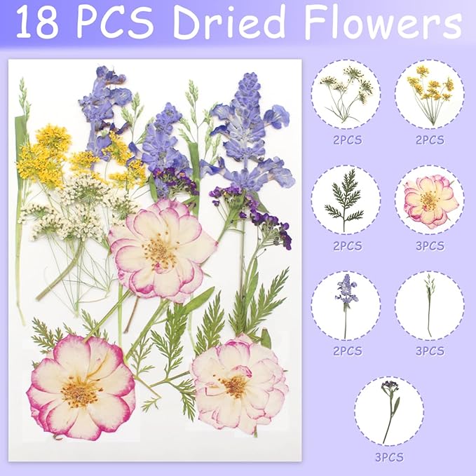 Real Dried Pressed Leaves for Candle Resin Jewelry Soap Nail Pendant Phone Case Crafts Making Floral Decors Scrapbooking DIY (56 Pcs Natural Leaf Flowers)