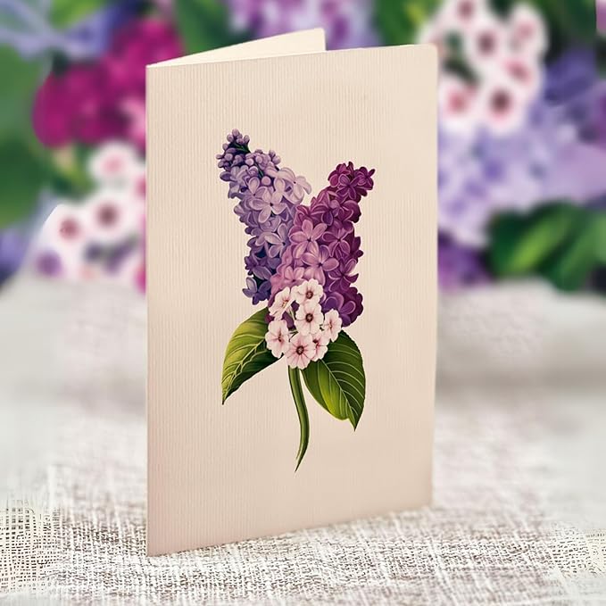Freshcut Paper Pop Up Cards, Grande Garden Lilacs, 18 Inch Life Sized Forever Flower Bouquet 3D Popup Greeting Card, Birthday Cards, Thank You Card, Blank Notecard & Envelope