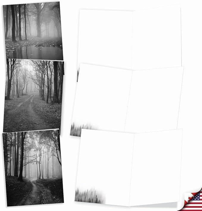 The Best Card Company - 20 All Occasion Blank Greeting Cards (4 x 5.12 Inch) - Monocolor Photos (10 Designs, 2 Each) - Misty Woods AM7167OCB-B2x10