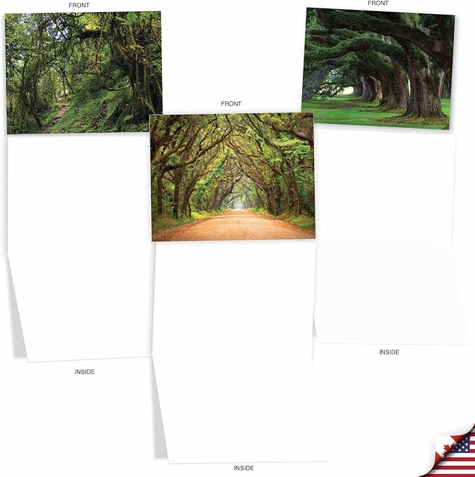 The Best Card Company - 20 Landscape Nature Note Cards Blank (4 x 5.12 Inch) (10 Designs, 2 Each) - Nature Trails AM6467OCB-B2x10