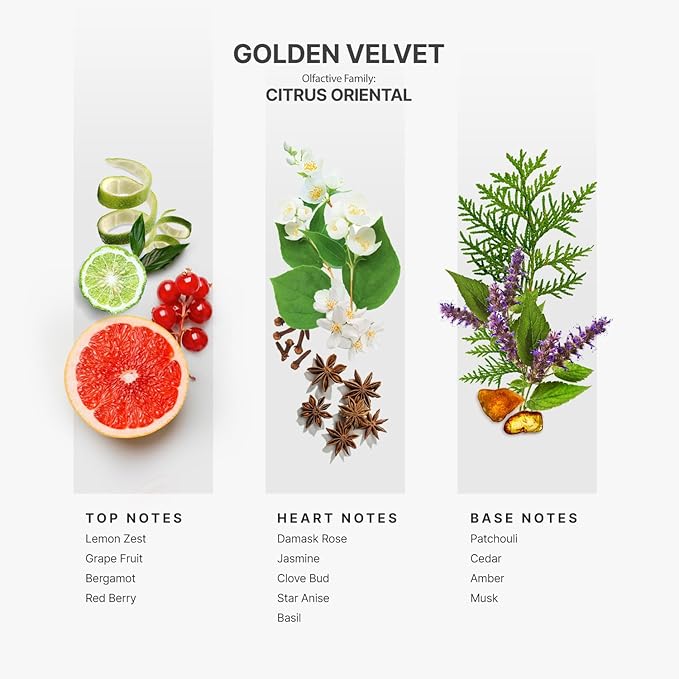 AromaPlan Hotel Scents Golden Velvet 5 Fl Oz (148ml), Home Luxury Aroma & Hotel Fragrance Diffuser Oil- Hotel Diffuser Oil for Aromatherapy- USA Made, Bigger Bottle, Bolder Aroma & Longer Lasting