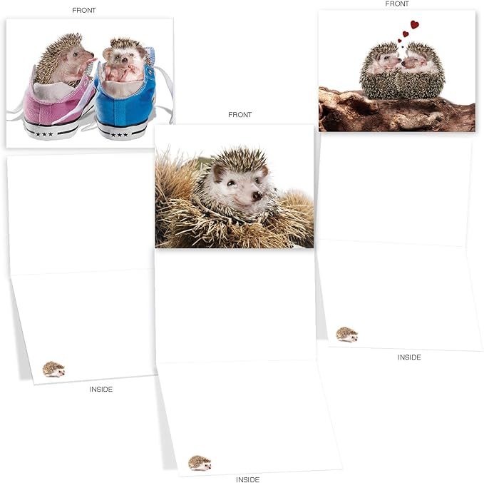 The Best Card Company - 10 Blank Animal Cards Boxed (4 x 5.12 Inch) - Assorted Pets, Zoo, Wildlife Cards for Kids - Cards from the Hedge M6541OCB