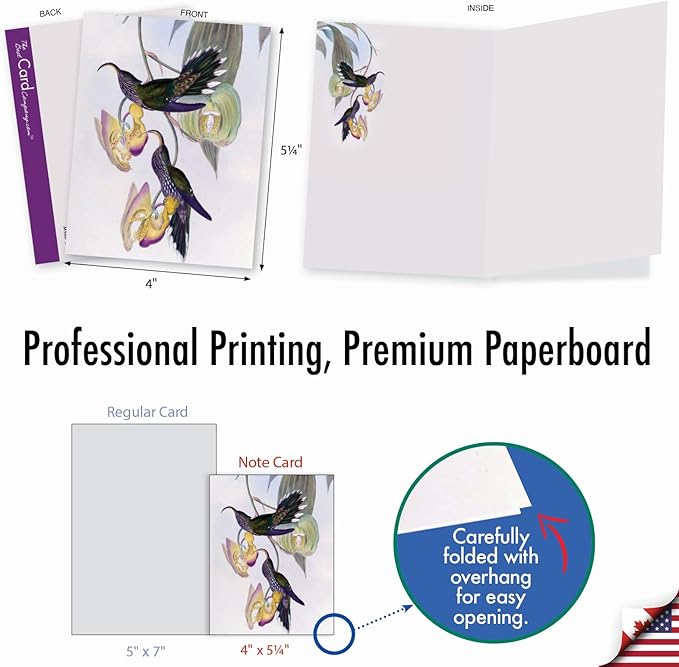 The Best Card Company - 20 Blank Notes with Envelopes - All Occasion Animal Assortment (10 Designs, 2 Each) - Humming Along AM9687OCB-B2x10