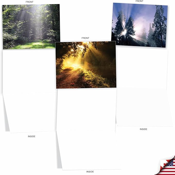 The Best Card Company - Box of 10 All Occasion Cards Blank (4 x 5.12 Inch) - Scenic Landscape Cards Assorted - Shining Through M1735BN