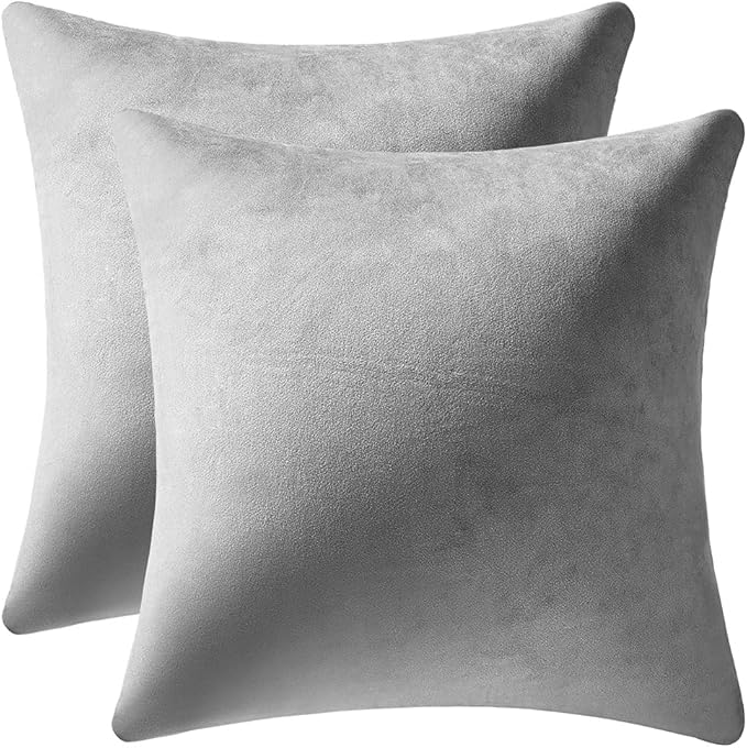 Decorative Pillow Cases 20x20 Light-Grey: 2 Pack Cozy Soft Velvet Square Throw Pillow Covers for Farmhouse Home Decor