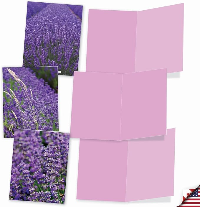 The Best Card Company - 10 Blank Note Cards with Flowers for Women (4 x 5.12 Inch) - Floral Notecards, All Occasion Boxed Assortment - Lavender Fields Forever M2017
