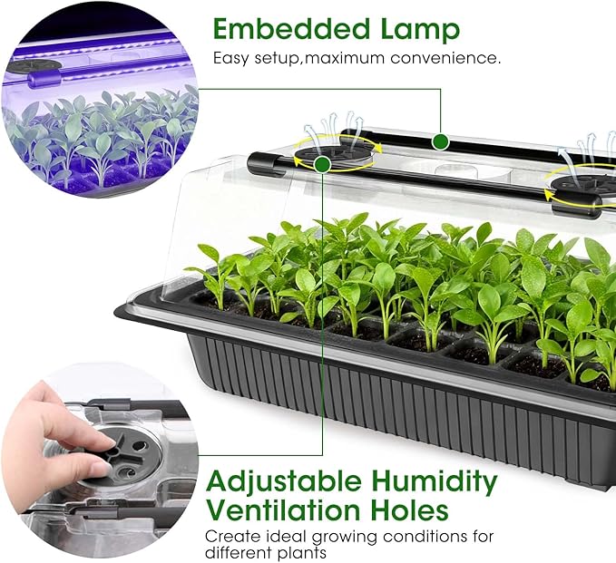 MQUPIN Seed Starter Tray with Grow Light 4 LED, 2 Pack/80 Cells Adjustable Brightness Seed Starter Kit,Seedling Starter Kit with Dome and Base for Greenhouse Seeds Growing Starting（Black）