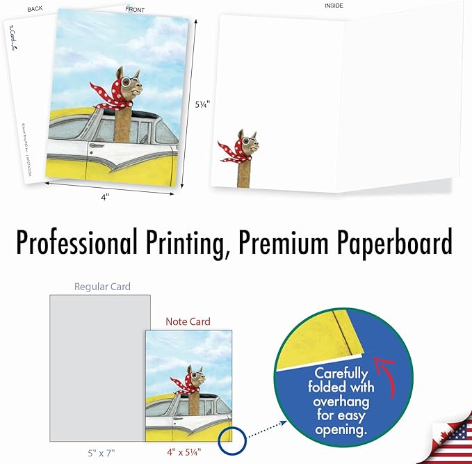 The Best Card Company Assorted Blank Greeting Card Box Set - Incl. 20 Cards + Envelopes - 10 Unique Designs - Perfect for Thank Yous, Invitations, More - Driving Divas AM9276OCB-B2x10