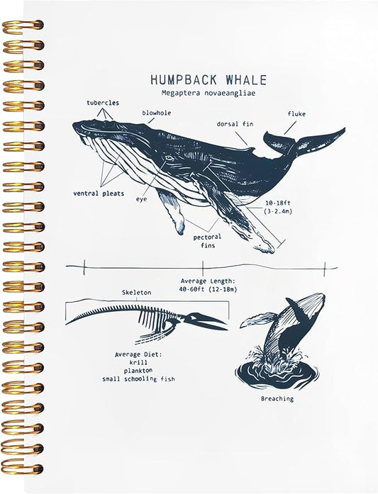 Humpback Whale Shark Notebook Journal for Note Taking, Marine Biology Shark Gifts, Ocean Animal Beach Spiral Notebook, Ocean Themed Gifts, 5.5x8.3 Inch