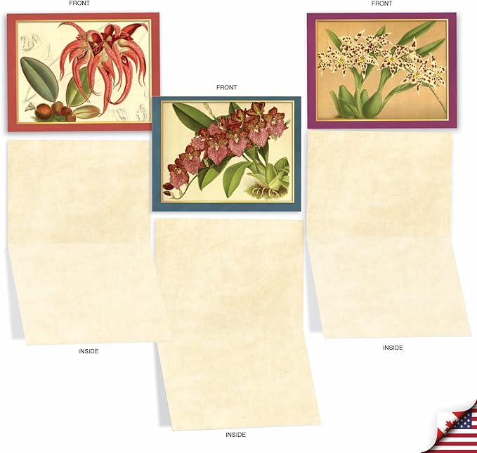 The Best Card Company - 10 Boxed Note Cards with Flowers - Blank Assorted Floral Notecards Bulk (4 x 5.12 Inch) - Tiger Orchids M10037BK