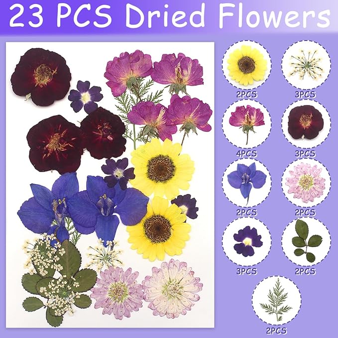 Real Dried Pressed Leaves Natural Dried Leaf for Candle Resin Jewelry Soap Nail Pendant Phone Case Crafts Making Floral Decors Scrapbooking DIY (68 Pcs Real Dried Leaves Flowers)