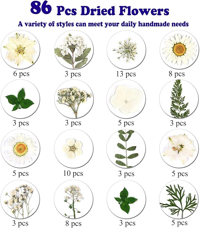 86Pcs White Pressed Dried Flowers Real Natural Leave for DIY Resin Molds Candle Jewelry Nail Crafts Gifts