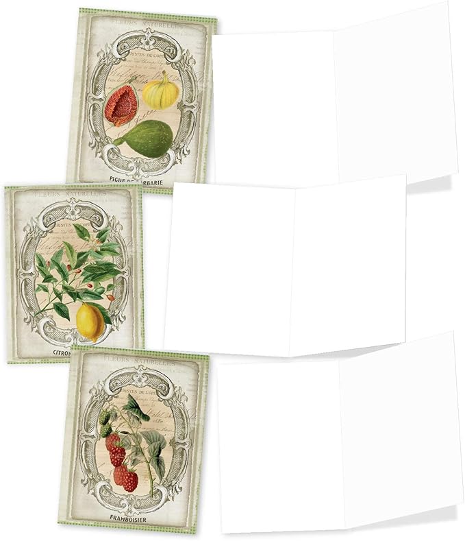 The Best Card Company - 10 Retro Blank Cards with Envelopes (4 x 5.12 Inch) - Artistic Boxed Assortment, Vintage Note Cards - French Fruit M4190OCB-B1x10