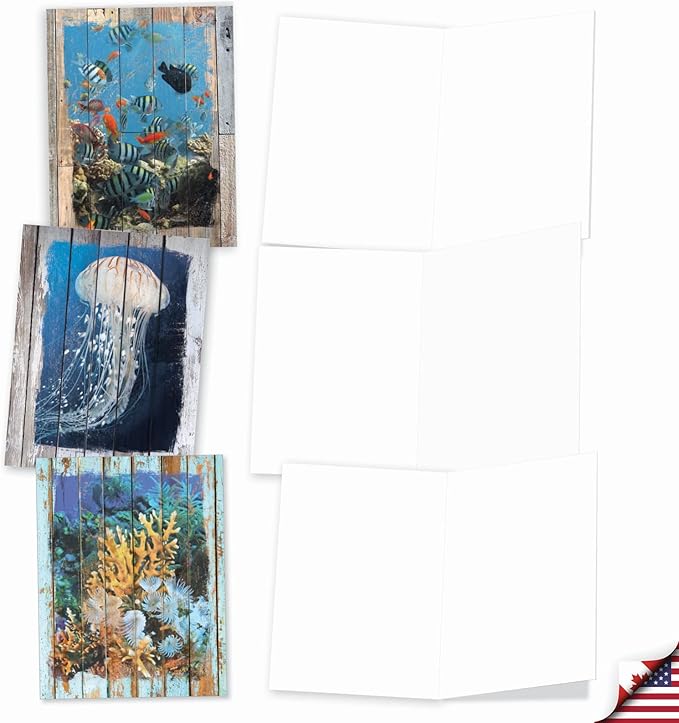 The Best Card Company - 10 Blank Note Cards with Envelopes (4 x 5.12 Inch) - Bulk All Occasion Cards Boxed - Ocean Driftwood Transfers AM6331OCB-B1x10