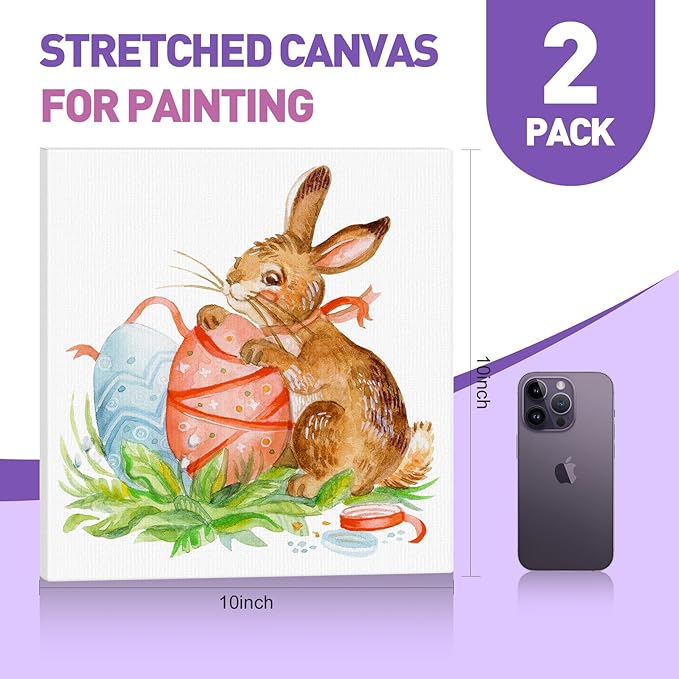 ESRICH 10x10 Stretched Canvas for Painting, 2 Pack Square Canvas for Painting Primed Acid-Free Framed Blank Canvas, Art Canvases for Beginners & Artists to Paint Oil, Acrylic, Pouring Painting.