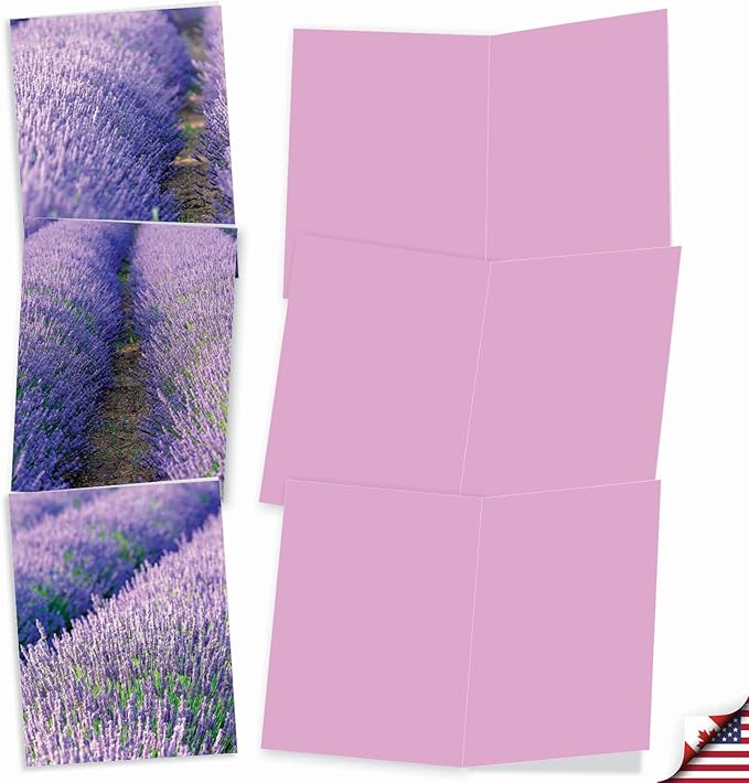 The Best Card Company - 10 Blank Note Cards with Flowers for Women (4 x 5.12 Inch) - Floral Notecards, All Occasion Boxed Assortment - Lavender Fields Forever M2017