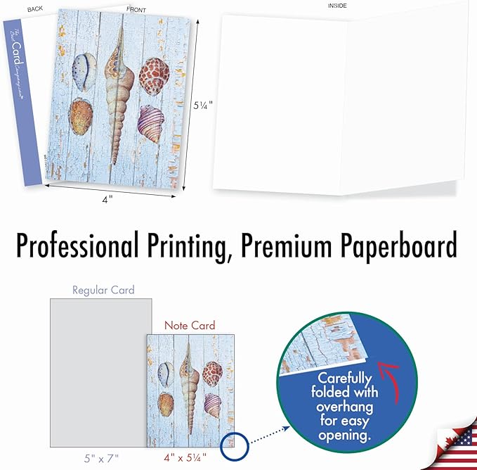 The Best Card Company - 10 Blank Note Cards with Envelopes (4 x 5.12 Inch) - Bulk All Occasion Cards Boxed - Seashell Driftwood AM6118OCB-B1x10