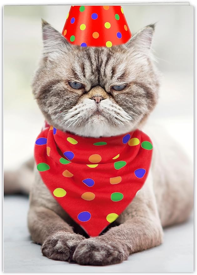 Funny Cat Birthday Card for Women, Men, Coworkers, Friends & Family - no cats were harmed in the making of this card.