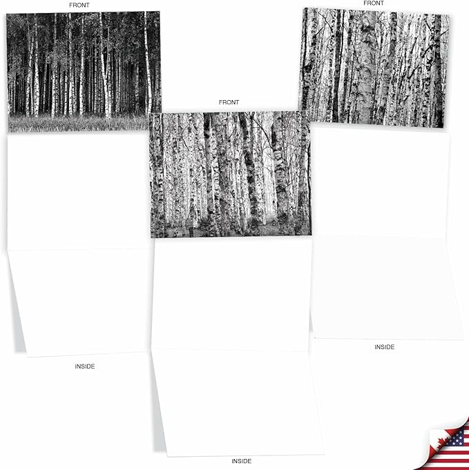 The Best Card Company - 10 Blank Note Cards with Envelopes (4 x 5.12 Inch) - Black & White Photos, Bulk Boxed Set - Whitewoods M6451OCB
