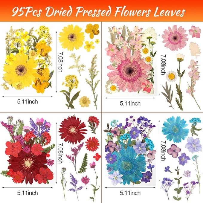 Dried Pressed Flowers for Resin Model, Real Pressed Barberton Daisy Bulk Natural Herbs Kit for Scrapbooking DIY Art Crafts, Epoxy Jewelry, Candle, Soap Making, Nails Decor