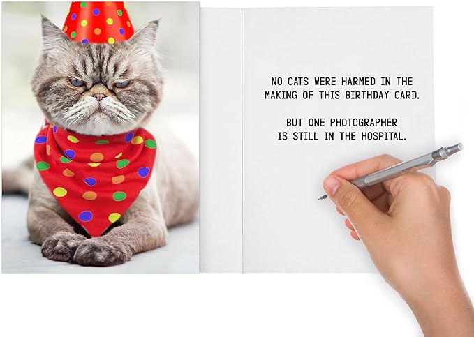 Funny Cat Birthday Card for Women, Men, Coworkers, Friends & Family - no cats were harmed in the making of this card.