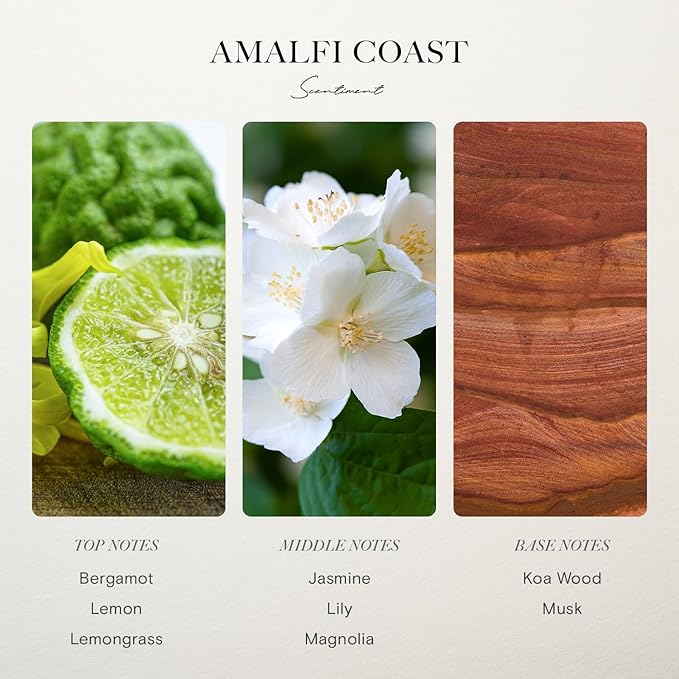 Scentiment Diffuser Oil - Amalfi Coast | Aromatherapy Fragrance | Inspired by Luxury Five Star Hotels | Notes of Bergamot, Lemongrass, Jasmine, Lily, Magnolia & Koa Wood (50 mL)