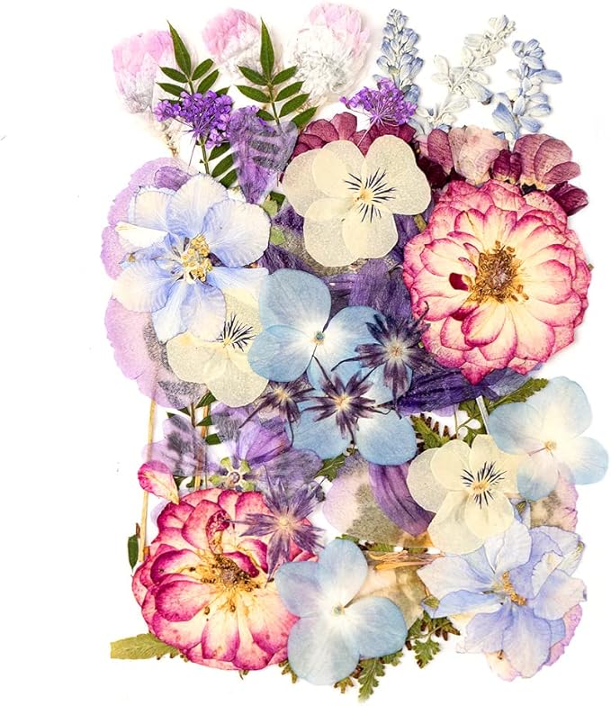 35+pcs Purple Flowers for Resin Model, Real Pressed Flowers Dry Leaves Bulk Natural Herbs Kit for Scrapbooking DIY Art Crafts, Epoxy Jewelry, Candle, Soap Making, Nails Decor