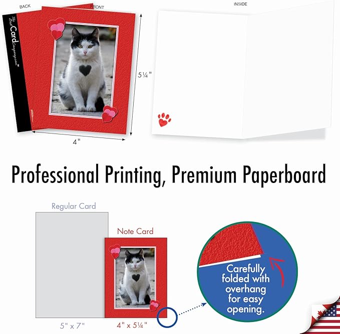 The Best Card Company - 10 All Occasion Blank Cat Cards (4 x 5.12 Inch) - Cute Assorted Bulk Card Set - Heartfelt Cats M5658OCB-B1x10