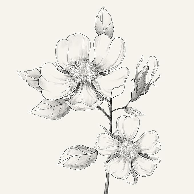 Framed Botanical Wall Art for Bathroom, Set of 4 Neutral Minimalist Beige Floral Painting Prints for Modern Farmhouse Decor, Black and White Flowers Plant Artwork for Rustic Bedroom Living Room, 11x14