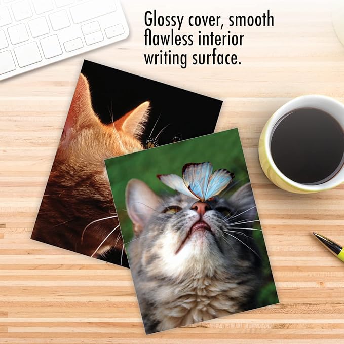 The Best Card Company - 10 All Occasion Blank Cat Cards (4 x 5.12 Inch) - Cute Assorted Bulk Card Set - On The Nose M4947OCB-B1x10