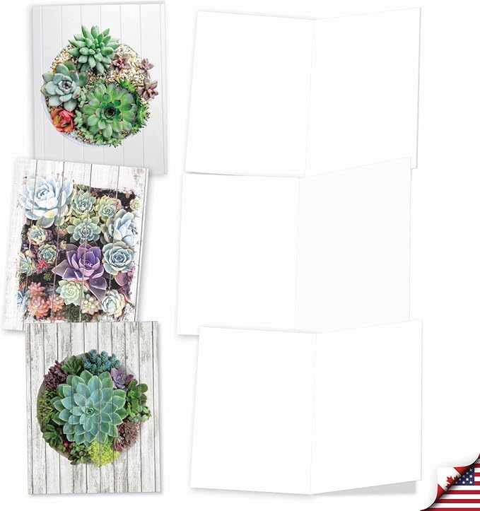 The Best Card Company - 10 Blank Note Cards with Envelopes (4 x 5.12 Inch) - Bulk All Occasion Cards Boxed - Shiplap Succulents AM6438OCB-B1x10