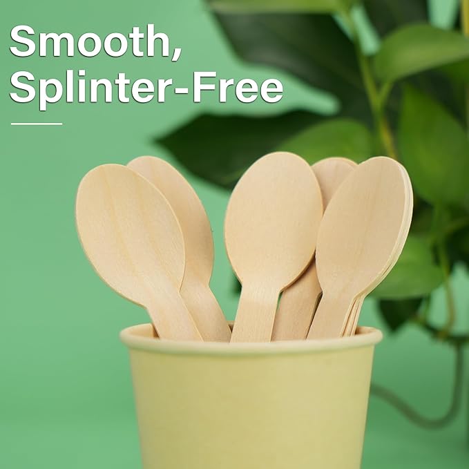 LotFancy Disposable Wooden Spoons, 250Pcs 6.25 inch Wood Cutlery Spoons, Biodegradable Compostable Eco-friendly Birchwood Sampling Tasting Spoons