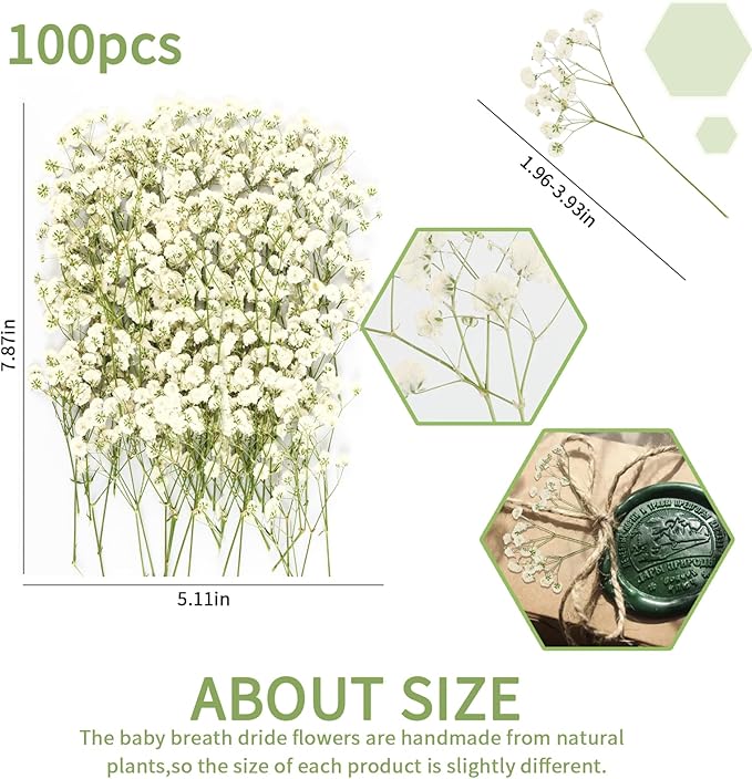 100Pcs Mini Dried Pressed White Baby’s Breath Flowers Bulk - Real Natural Flat Flowers for Epoxy Craft, Scrapbooking, Wedding Invitations, Home Decor, DIY Gifts for Crafters & Event Planners (100)