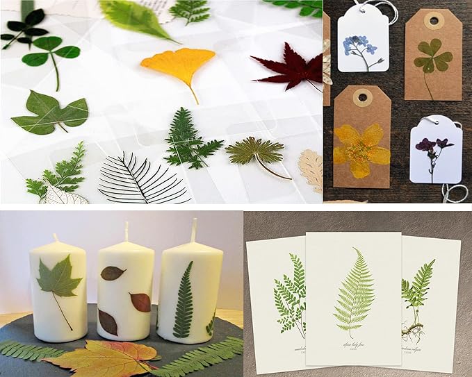 30PCS Green Dried Pressed Leaf Leaves, YouthBro Greenery Real Nature Plant Herbarium Set for DIY Jewelry Candle Scrapbook Art Craft Decors,Green