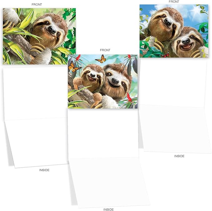 The Best Card Company - 10 Blank Animal Cards Boxed (4 x 5.12 Inch) - Assorted Pets, Zoo, Wildlife Cards - Smiling Sloths AM6864OCB-B1x10