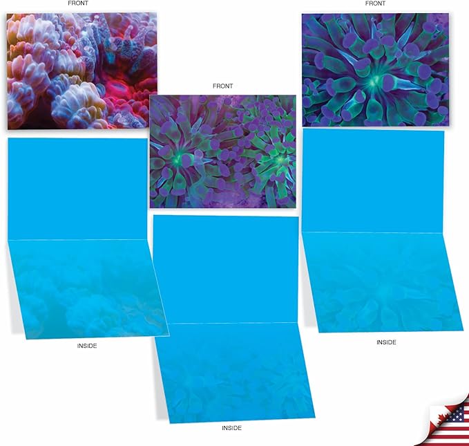 The Best Card Company - 10 All Occasion Blank Cards for Men and Women (4 x 5.12 Inch) - Nautical, Ocean, Sea Life Assortment of Notecards - Under the Sea M3103