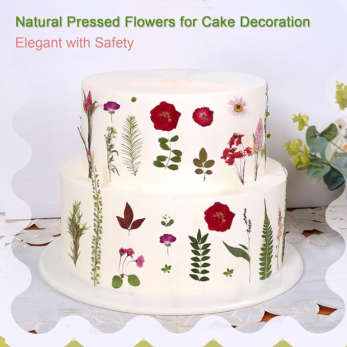 A5 Large Bulk Christmas Dried Pressed Flowers for Christmas Decor, Real Dry Natural Flower Leaf Daisy for Resin Mold, Cake Decor, Phone Cases ( Romantic Rose)