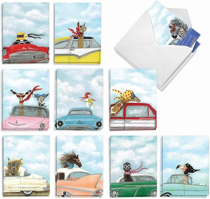 The Best Card Company Assorted Blank Greeting Card Box Set - Incl. 20 Cards + Envelopes - 10 Unique Designs - Perfect for Thank Yous, Invitations, More - Driving Divas AM9276OCB-B2x10
