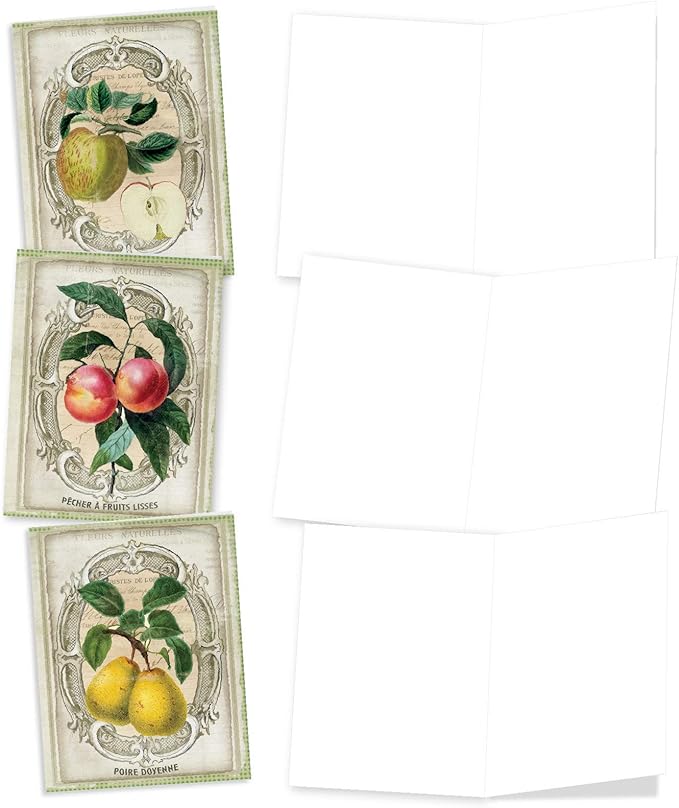 The Best Card Company - 10 Retro Blank Cards with Envelopes (4 x 5.12 Inch) - Artistic Boxed Assortment, Vintage Note Cards - French Fruit M4190OCB-B1x10