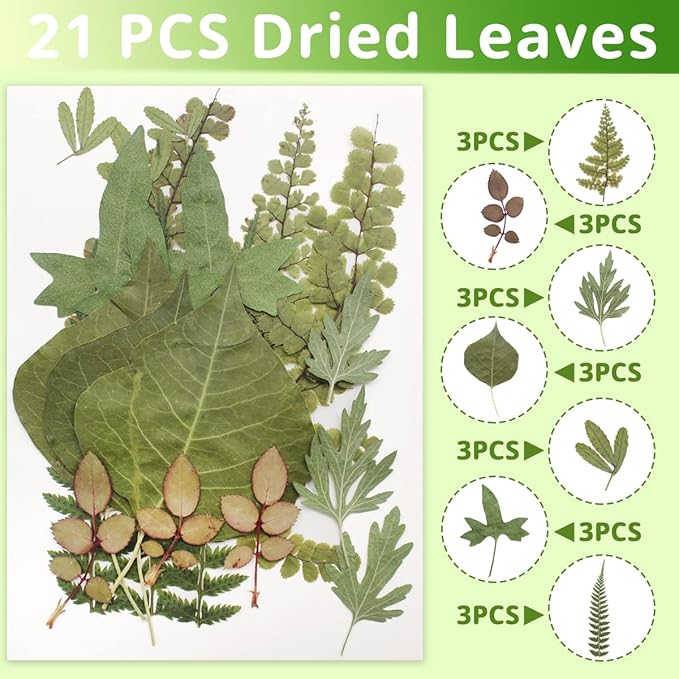 Cinvo 63 Pcs Real Dried Pressed Leaves Natural Assorted Dried Greenery with Tweezer for Resin Candle Jewelry Soap Nail Pendant Phone Case Art Craft DIY Embellishment Decorations(2023